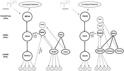 Of Beavers and Tables: The Role of Animacy in the Processing of Grammatical Gender Within a Picture-Word Interference Task